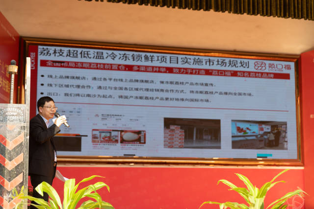 广州鲜汇冷冻技术公司做2024年“荔口福”荔枝超低温冷冻锁鲜项目实施规划方案分享