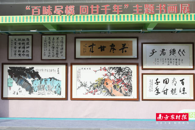 “百味尽榄 回甘千年”主题书画展为此次潮州橄榄文化周湾区展销活动创新之举