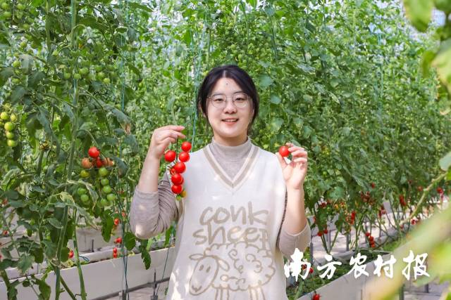 驻扎在科技小院的研究生李洪昭。