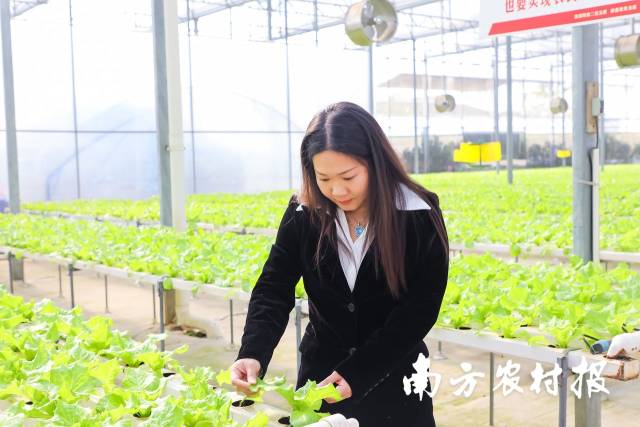 三水区经济和科技局、科学技术协会秘书长曾翠娴谈及园区研学活动盛况。