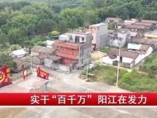 实干“百千万工程” 阳江在发力丨党建引领+乡贤助推，跑出乡村振兴加速度