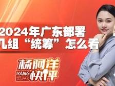 2024年广东部署，这几组“统筹”怎么看？| 杨阿洋快评