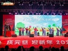 投票｜舞貔貅迎元旦！你最爱佳松岭村哪个“村晚”节目？