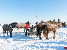 冰雪跨年！查干湖冬捕VS冰雪大世界，你选哪一项？
