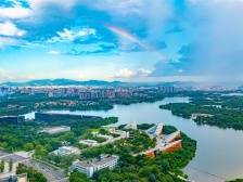 新年献词｜致2024：与松山湖欣欣向“融”