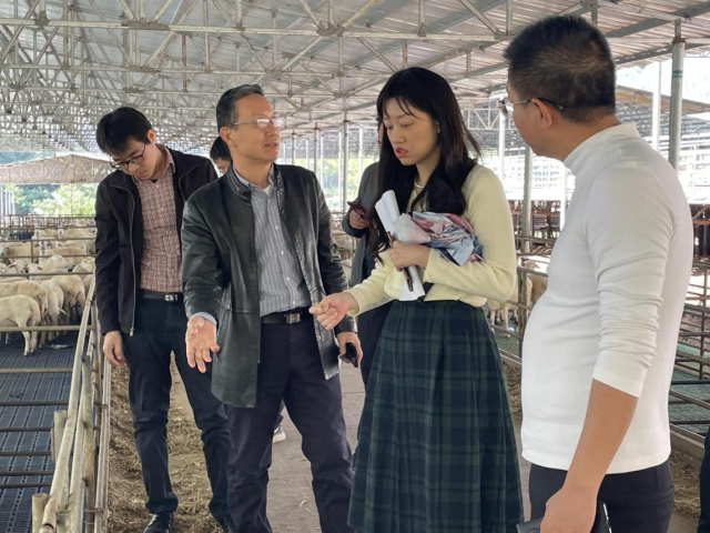 特派团对养殖现场进行实地调研