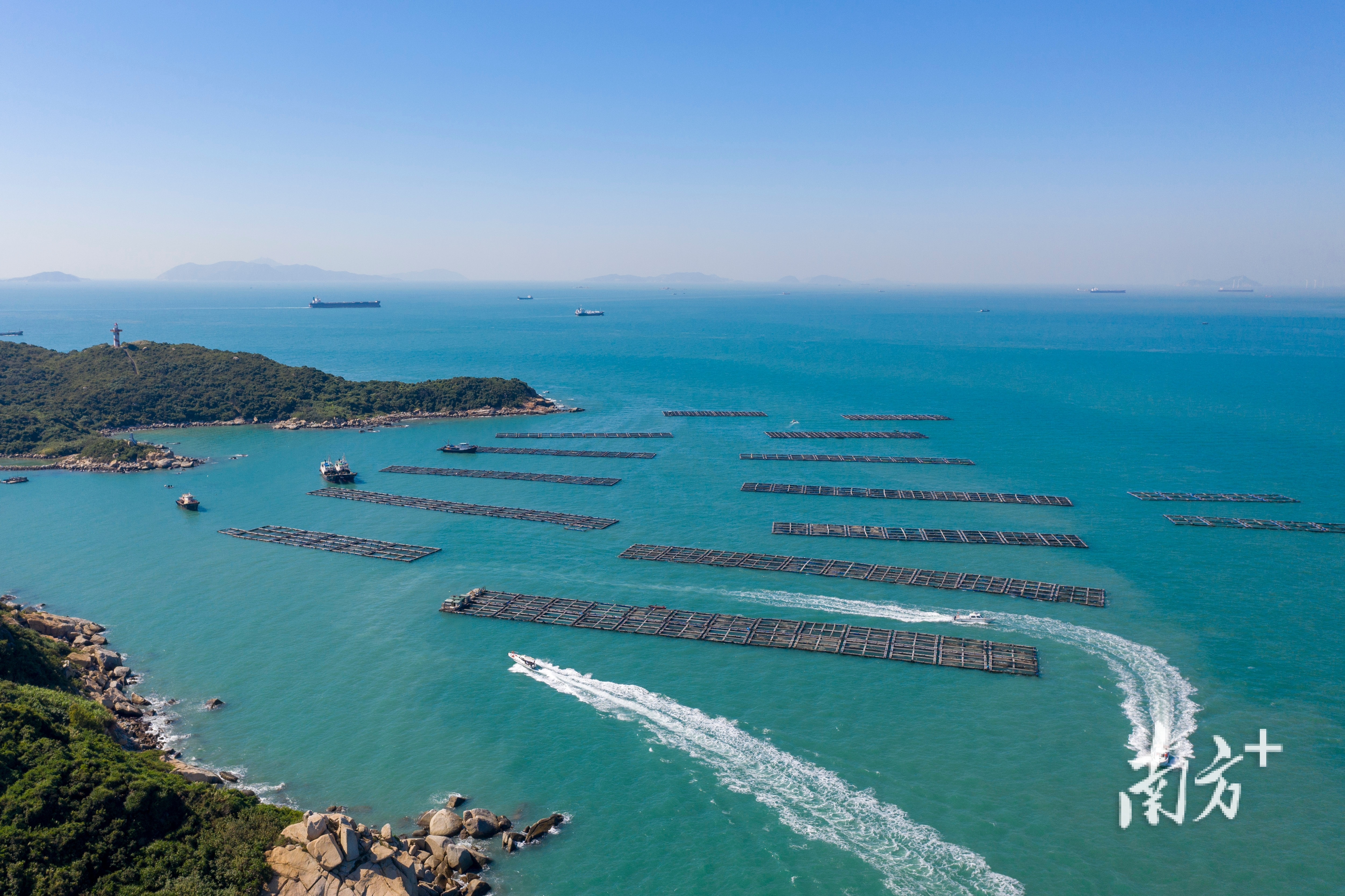 从万山国家级海洋牧场示范区上空俯瞰，湛蓝的海面上深水网箱整齐排列。