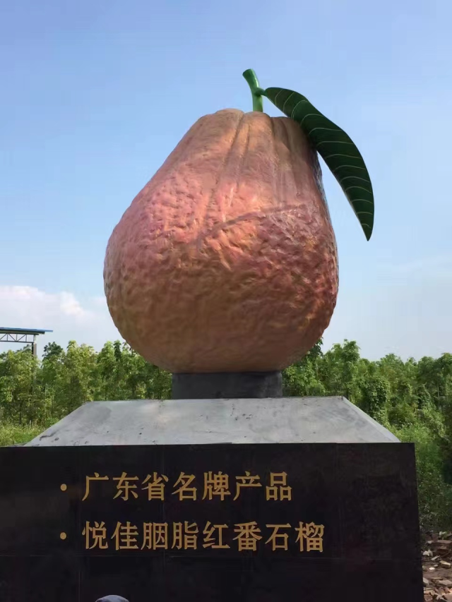 悦佳胭脂红番石榴荣获“广东生名牌产品”