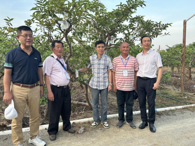 悦佳合作社负责人冯志佳与台湾果树种植专家们