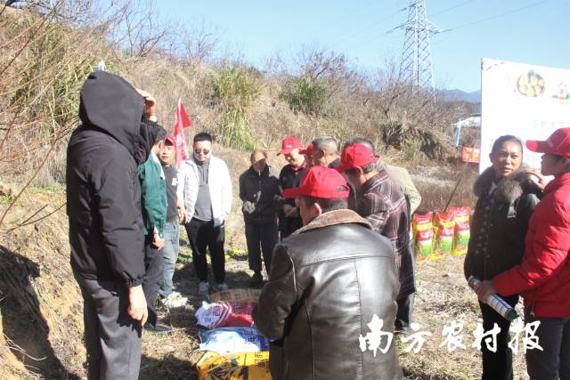 与会农户对减量增效的有机肥新产品很感兴趣