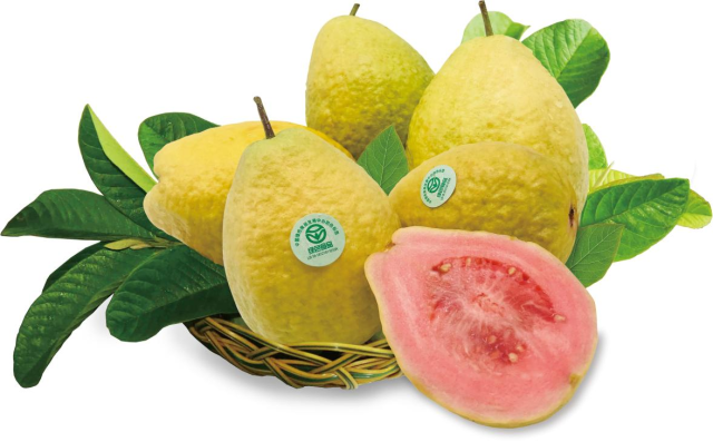 广州市番禺区悦佳水果专业合作社培育的胭脂红番石榴成为本次活动最受欢迎的10大“粤合好物”之一