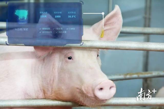 南方农村报 李嘉镓 制图