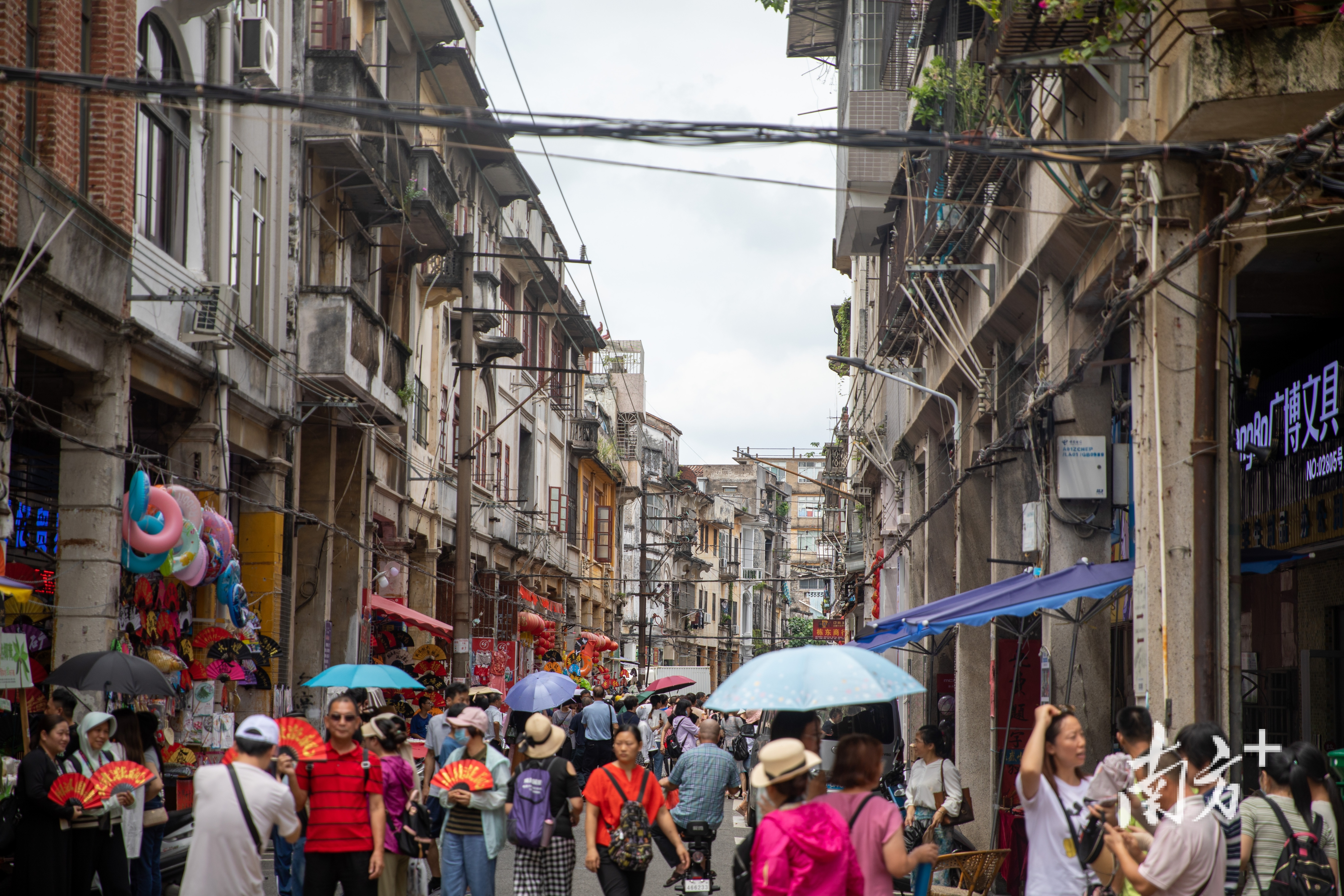 影视热让江门成为“狂飙之城”。 张令 摄