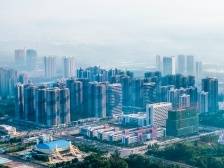 以“头号工程”力度奋力抓出“头号成果”|速览《南方日报·电白视窗》154期