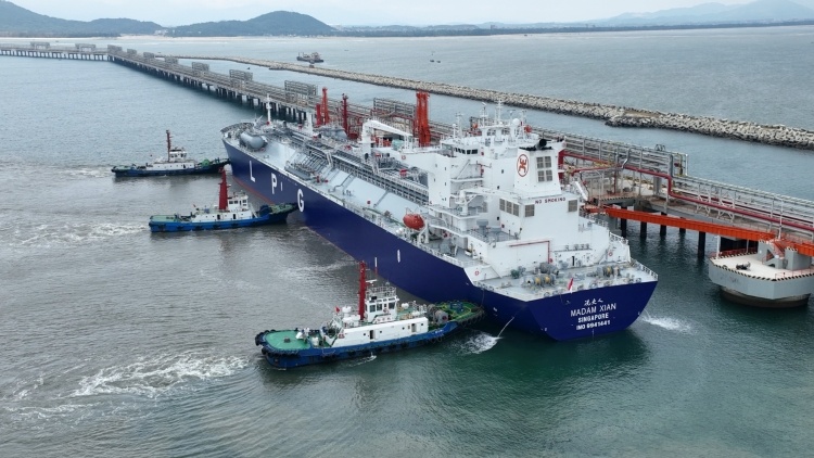 “冼夫人号”首航归来：一次贸易、文化、产业之旅