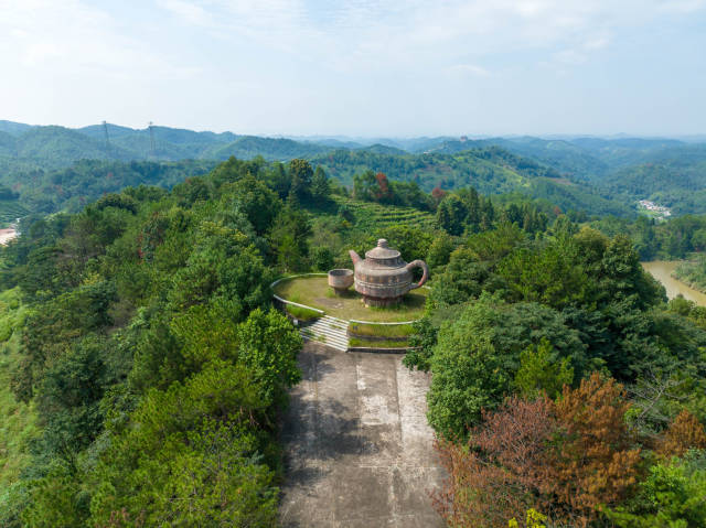 黄蜂窝茶山景区。