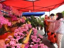 花城看花，在+赏花！百年西湖花市邀请您为心中的花王点赞