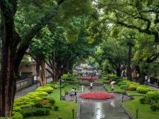 荔湾首个古树公园！沙面古树公园今日揭牌