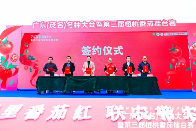 助力“百千万工程”茂名冬种甘薯示范基地合作签约