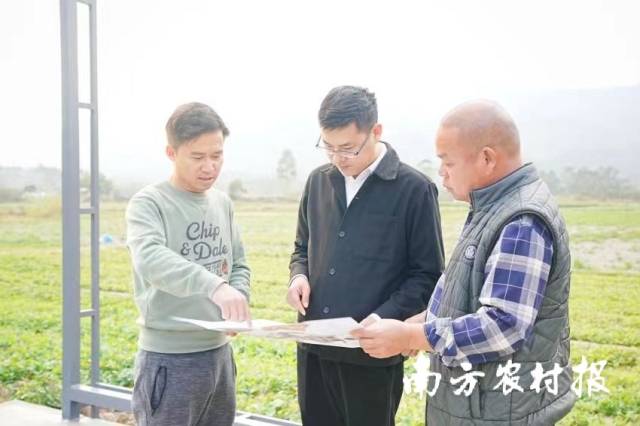 米仓村乡村CEO李劲新（左一）、米仓村驻村第一书记张涛（中）、米仓村委会党支部书记冯芳仔讨论簕菜创意园规划。