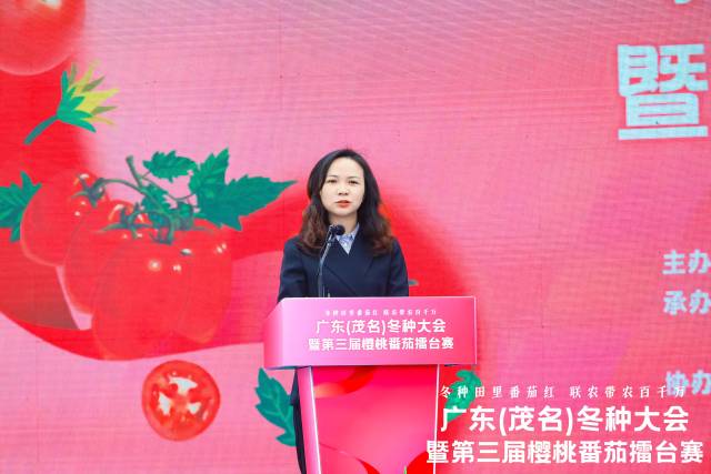 茂名市人民政府副市长、党组成员王小慧