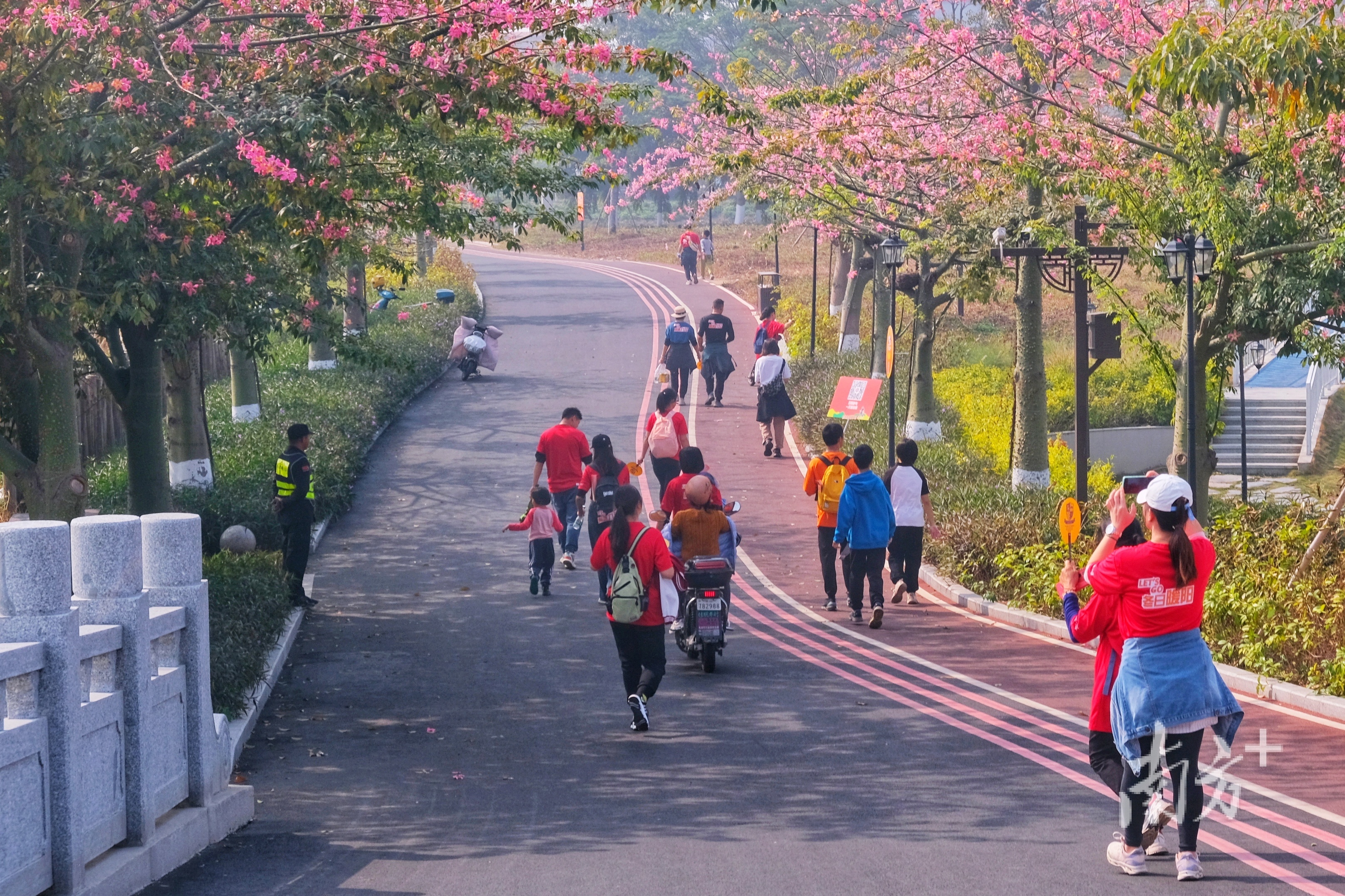九江镇市民、游客通过徒步共同迎接新的一年。 梁平 摄