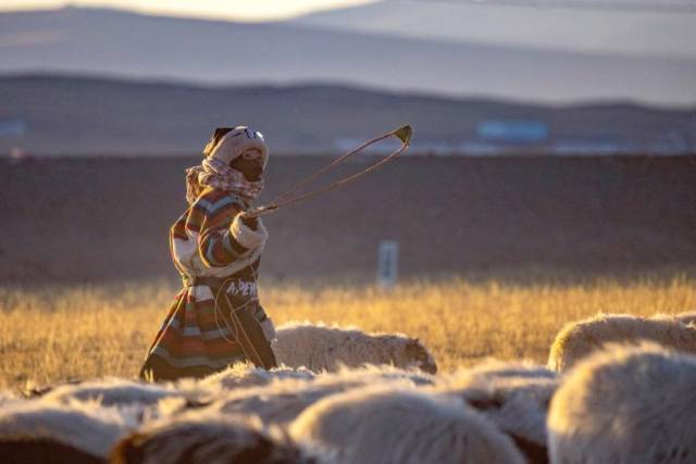  藏区牧民。新华社图片