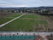 梅州兴宁：1.3万亩土地流转起来，“小田”如何变“大田”？