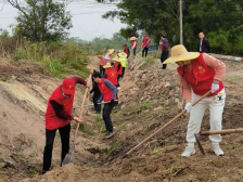 博贺镇全面推进水塘河道清淤工作，去年已投入超百万元