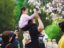 植物的语言（外一章）——写给华南国家植物园｜海风