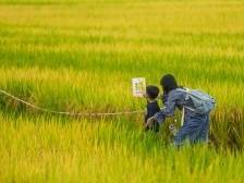 院士村的老农具｜海风