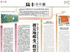 撂荒地蝶变“股票田” | 速览《南方日报·陆丰视窗》第36期