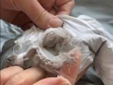 2000元羽绒服洗一次鹅绒全碎？波司登：不属于质量问题｜消费曝光台