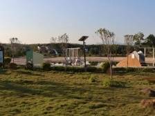 董塘镇新龙村：“五大行动”助推“百千万工程”，让文明之风吹遍乡间