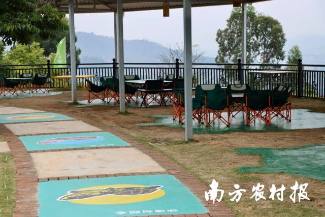 “龟谷”内龟元素随处可见。