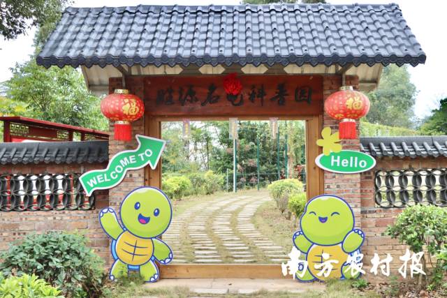 新韶镇胜源名龟科普园。