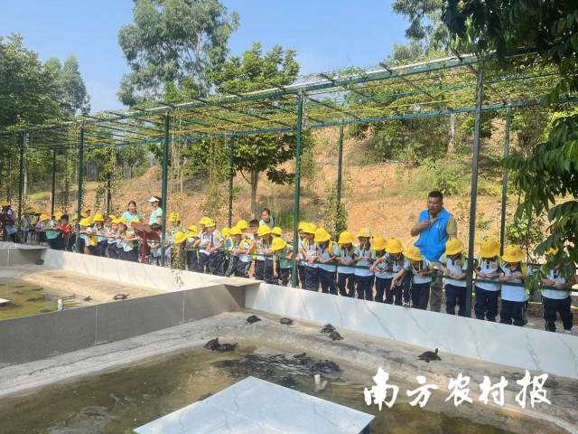“龟谷”引来众多中小学生研学游玩。