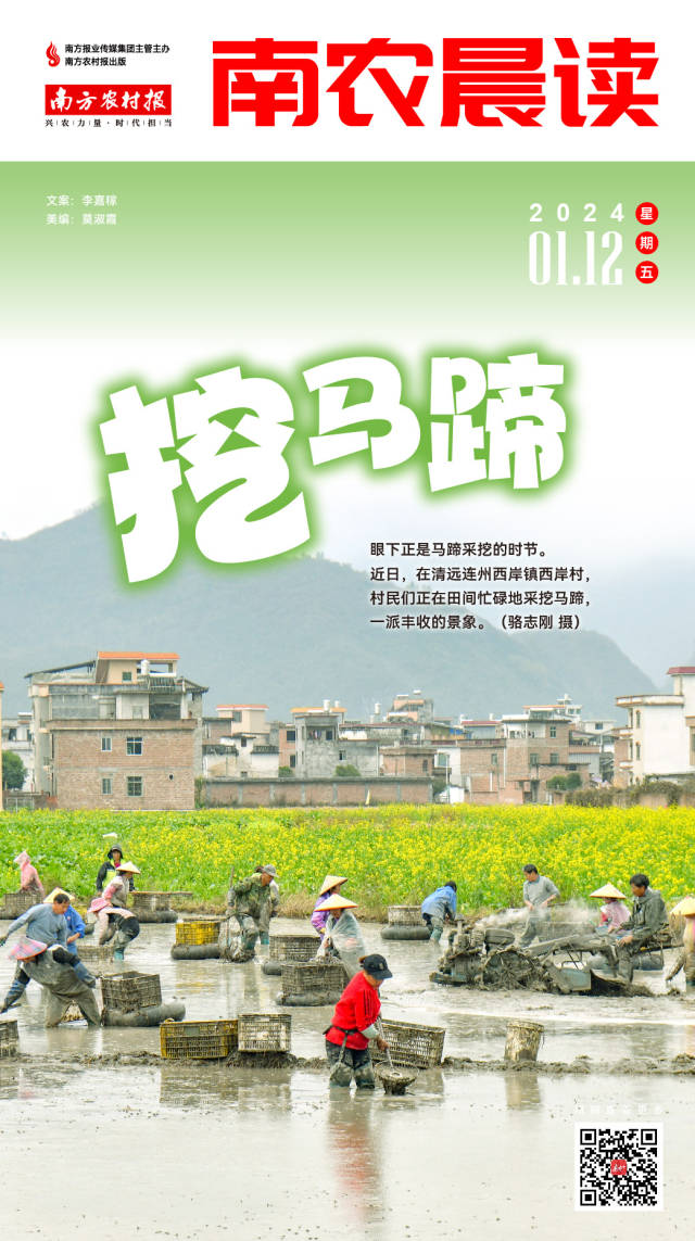 劝你吃“桃子”的理由，这两个就够了……