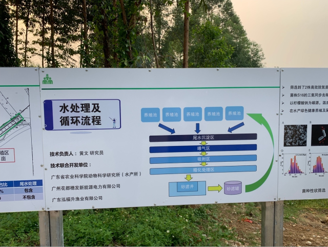 项目水处理及循环流程包括养殖区(网络化养殖池)、水处理区(尾水沉淀区、曝气区、吸附区、暗化处理区、砂滤井、砂滤罐6级处理)。 项目水处理及循环流程包括养殖区(网络化养殖池)、水处理区(尾水沉淀区、曝气区、吸附区、暗化处理区、砂滤井、砂滤罐6级处理)。