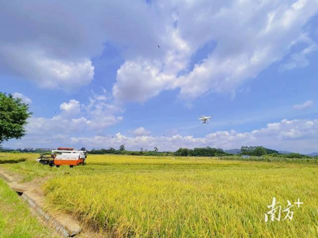 两市高开低走沪指跌1.2% 医药板块逆势领涨
