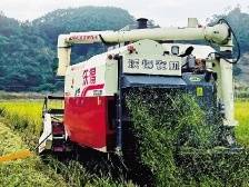 守望稻田｜速览《南方日报·潮州观察》第160期