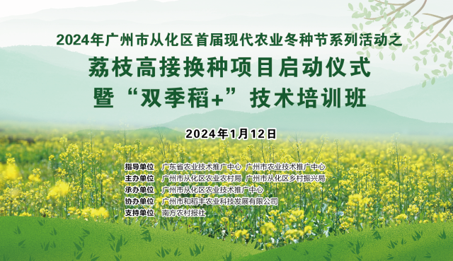 抢抓农时冬种忙！广州从化推进“双季稻+”种植、荔枝高接换种