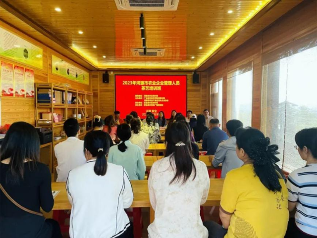 11月9日，紫金县农技推广服务驿站举办河源市农业企业管理人员茶艺培训班。
