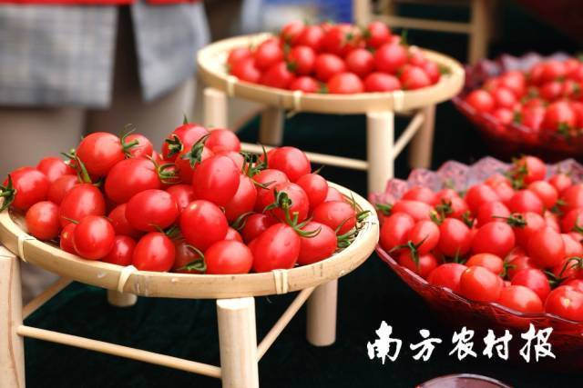 中国开启金融行业海量数据存储创新模式