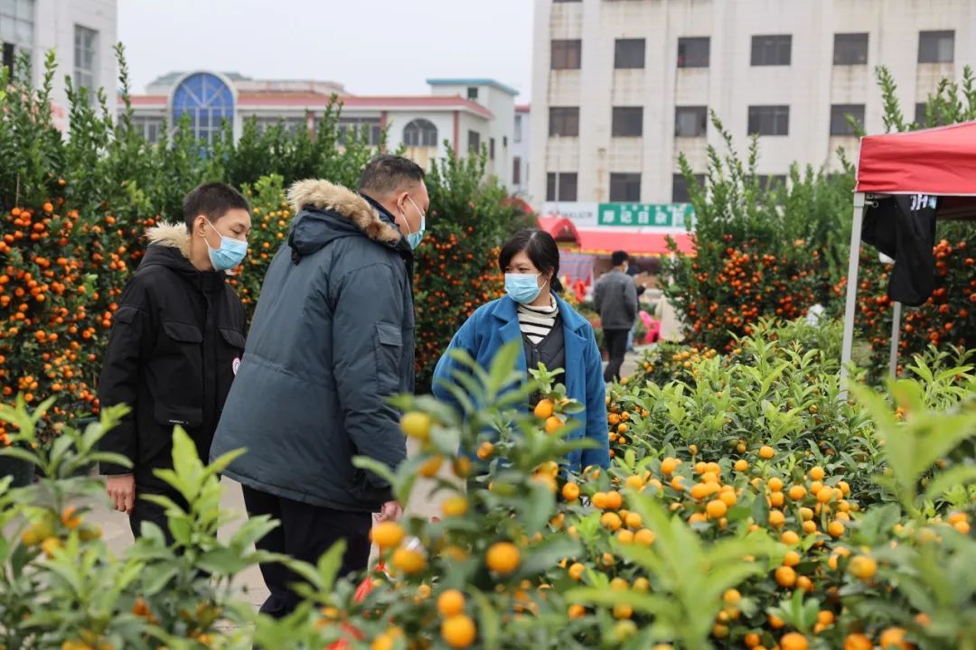 中山民众街道2024迎春花市摊位预报名开始