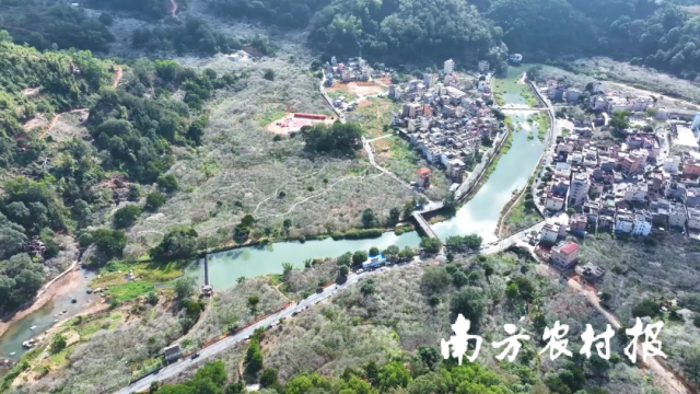 揭西县坪上镇，万亩梅花盛开犹如香雪，香远益清美景如画。