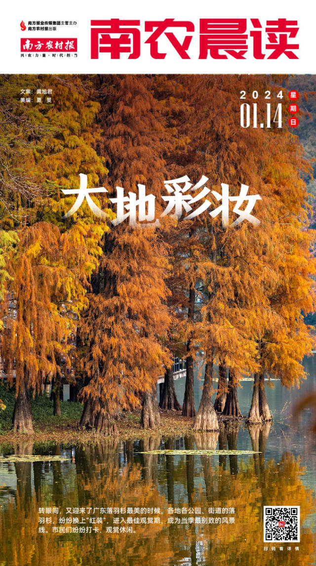 南方农村报 樊静东 制图