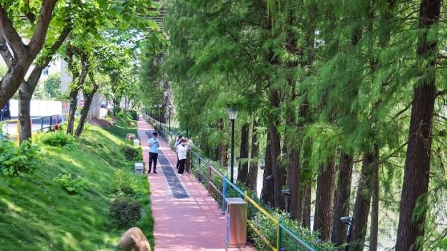 深读｜绿美中山，何以再升级？