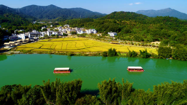 广东开展森林保护“一法一条例”执法检查，全力助推绿美广东生态建设。图为从化米埗小镇 。南方农村报资料图 