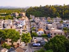 从点到带，斗门乡村振兴何以全省示范？